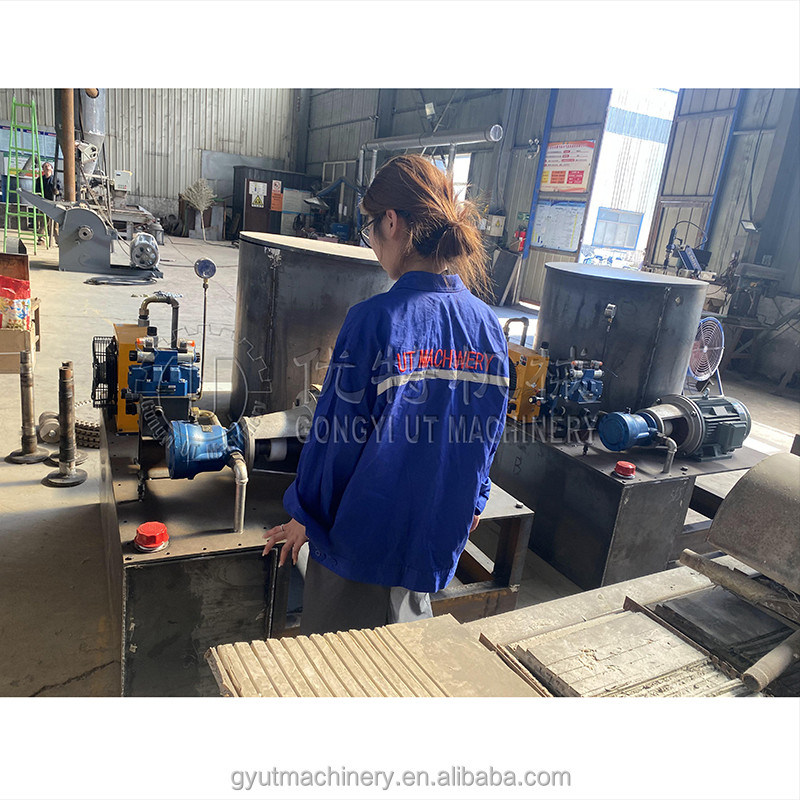 50 mm de diâmetro Biomassa hidráulica Fichas de madeira palha máquina de briquetear madeira nos EUA Espanha