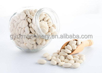 Máquina de descascagem húmida de 85-95% de núcleo inteiro para craqueamento e craqueamento de núcleo de damasco