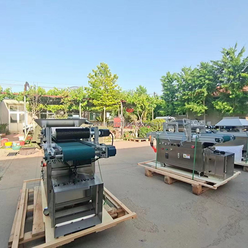 Máquina de sementeira de tomate 120 bandeja semente de alface planta de sementes de vegetais para bandeja de plástico