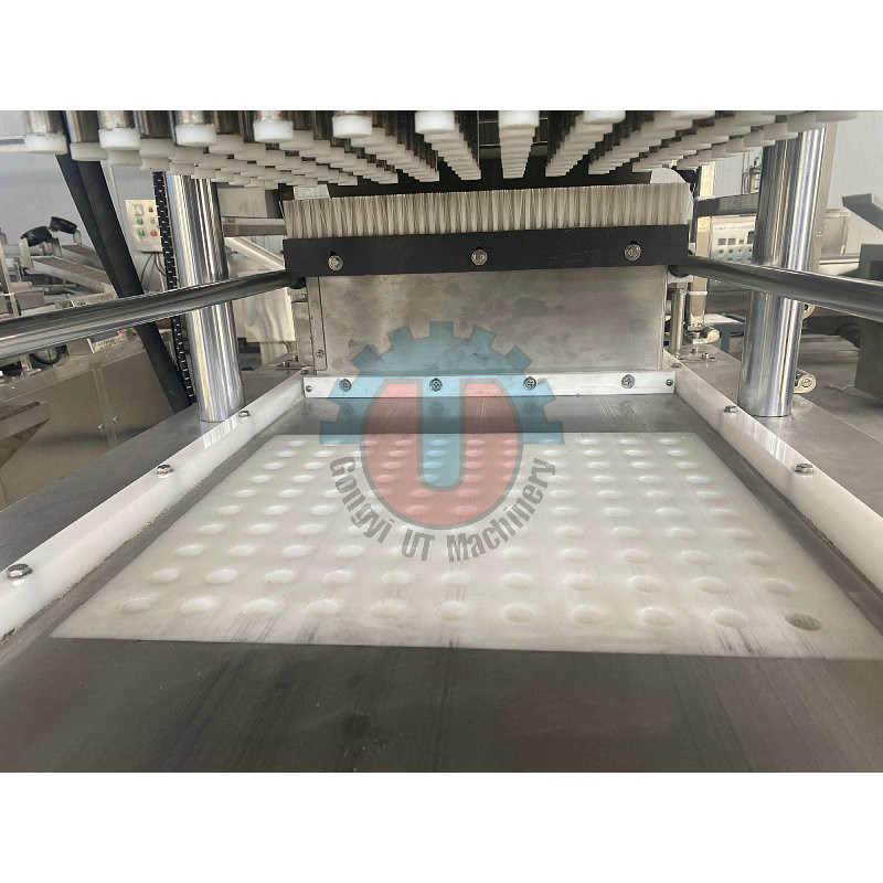 Máquina automática de prensagem de açúcar de 300 kg/h para fabricação de cubos de açúcar