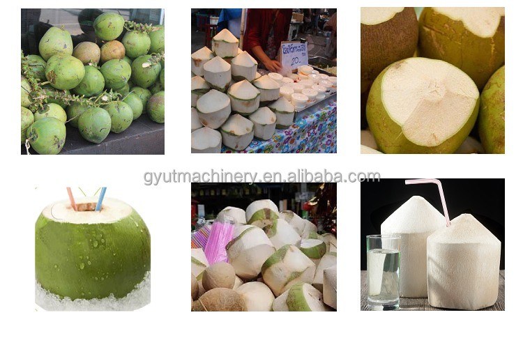 Melhore o seu jogo de produção de fragmentos com o descascador de descascadores de casca de coco verde de 0,8kw