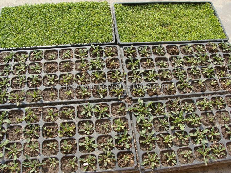 95%-98% Precisão de semeadura Máquina de semeadura de fazenda para sementeira de alface de cebola