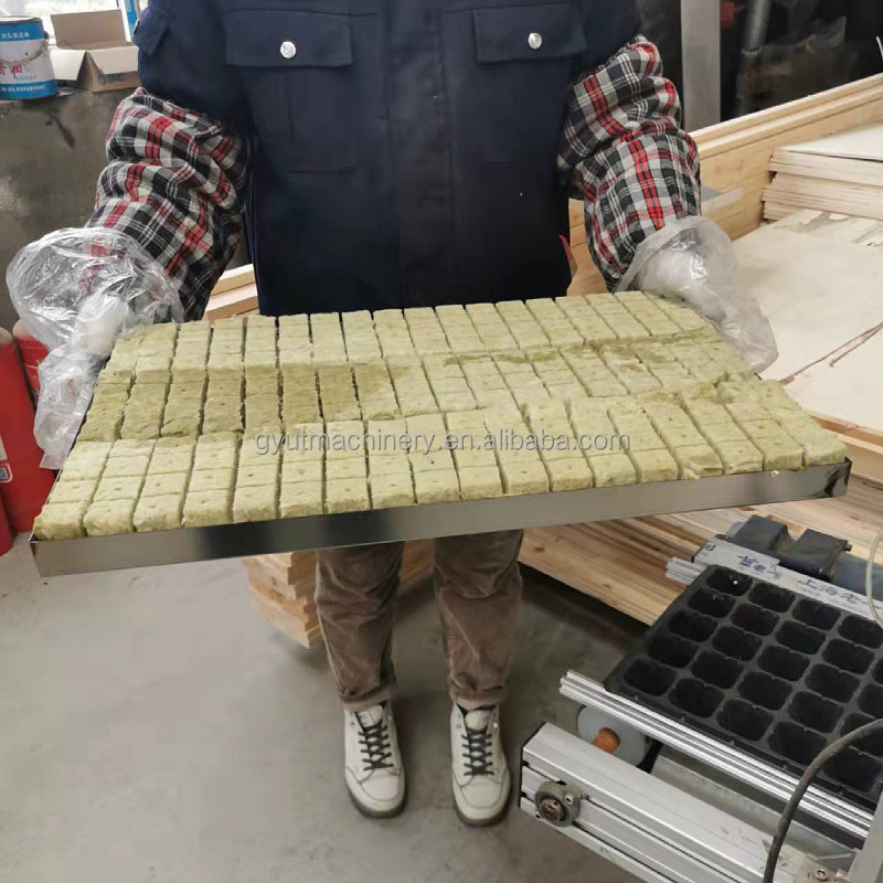 Máquina de plantio de sementes de repolho com desconto 600*700*800mm Tamanho