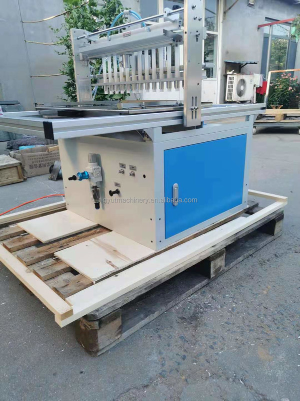 11 Máquina de semeadura de bandejas de micro-verde em fila com conveyor e revestimento superior na Austrália