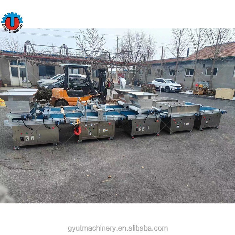 1140*850*1050mm Fornecimento Máquina automática de semeadura de sementes para semeadura Plug Tray Seeder