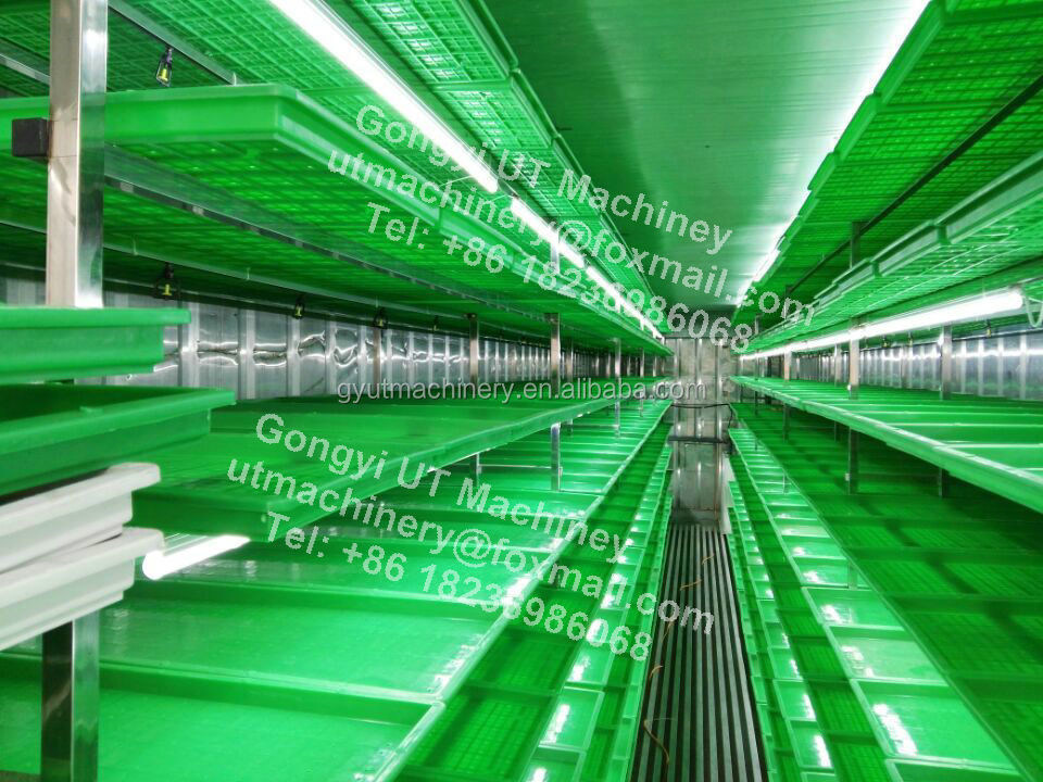 Tipo de recipiente Máquina de germinação de sementes de trigo e de erva de cevada para instalações de fabrico