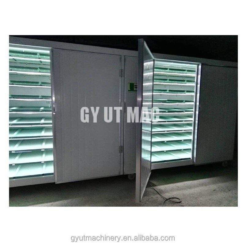 500 kg/dia Capacidade Container de camada de muti Tipo Máquinas de crescimento de microgreens de cevada