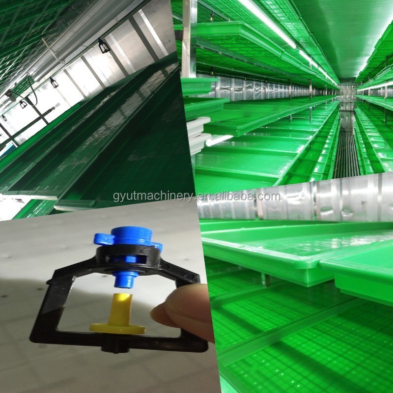 500 kg/dia Capacidade Container de camada de muti Tipo Máquinas de crescimento de microgreens de cevada