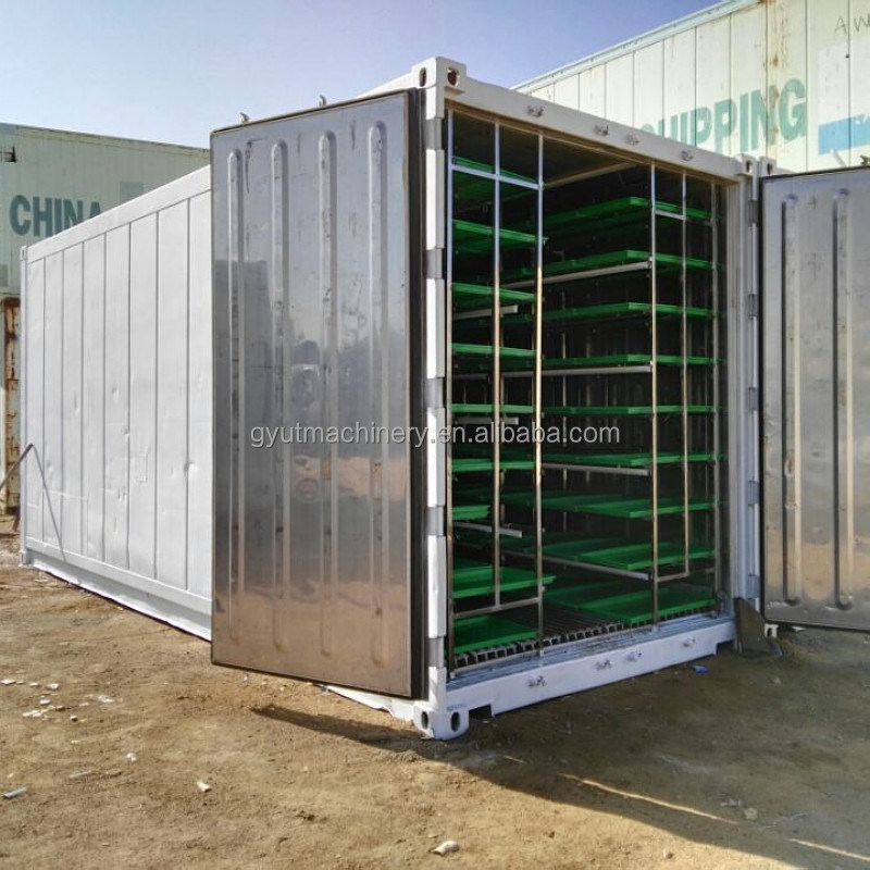 Cultivo de ervas de cevada feito sistema de forragem hidropônica simples com ciclo de produção rápido