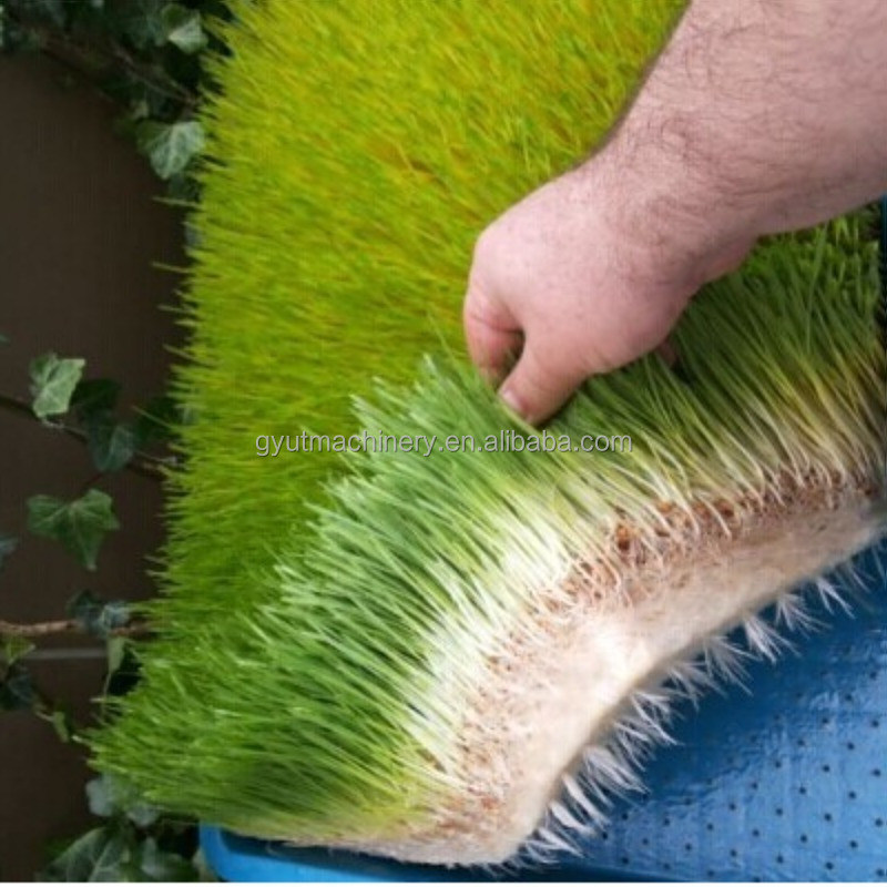 Microgreens de primeira linha Máquinas hidropónicas de cultivo de vegetais para oficinas de reparação de máquinas