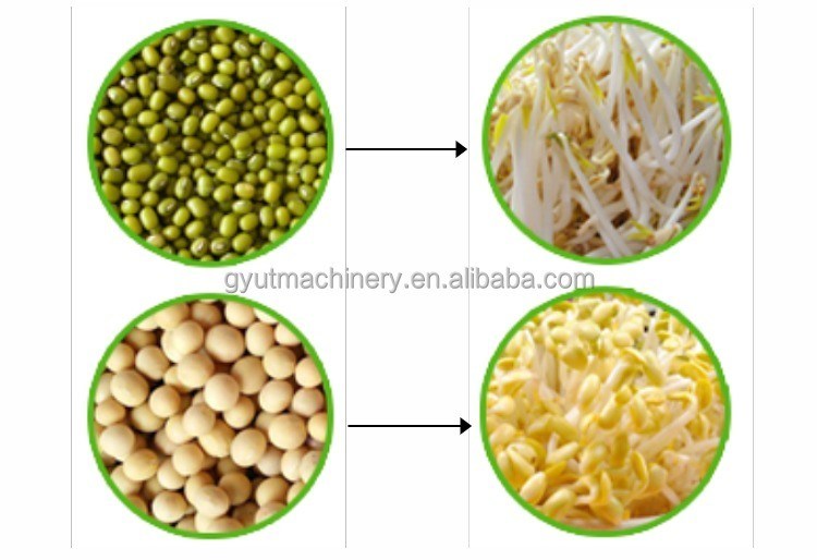 Microgreens de primeira linha Máquinas hidropónicas de cultivo de vegetais para oficinas de reparação de máquinas