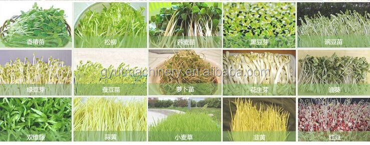 2024 Publicidade C Máquinas de colheita para a colheita Aquaponia Produtos de microgreens