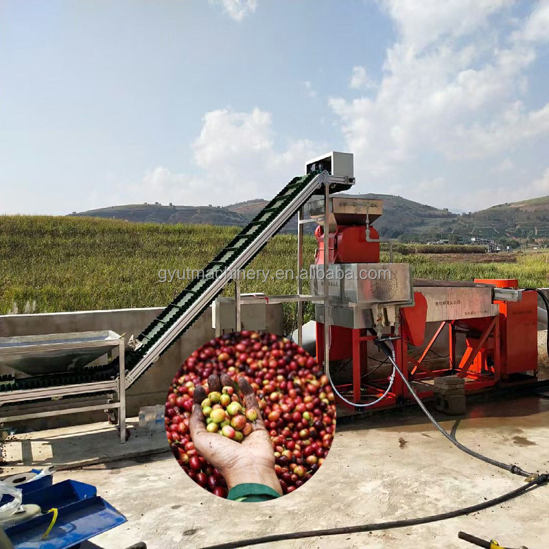 Máquina de descascar grãos de café/cacau para produção industrial com 910*730*1265mm de tamanho