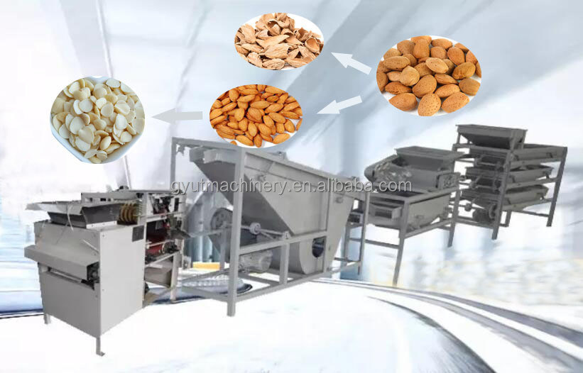1.5KW Almond Huller Plant para suporte on-line Muito popular Almond Shell Machine Broken